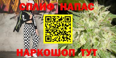 стаф Гудермес