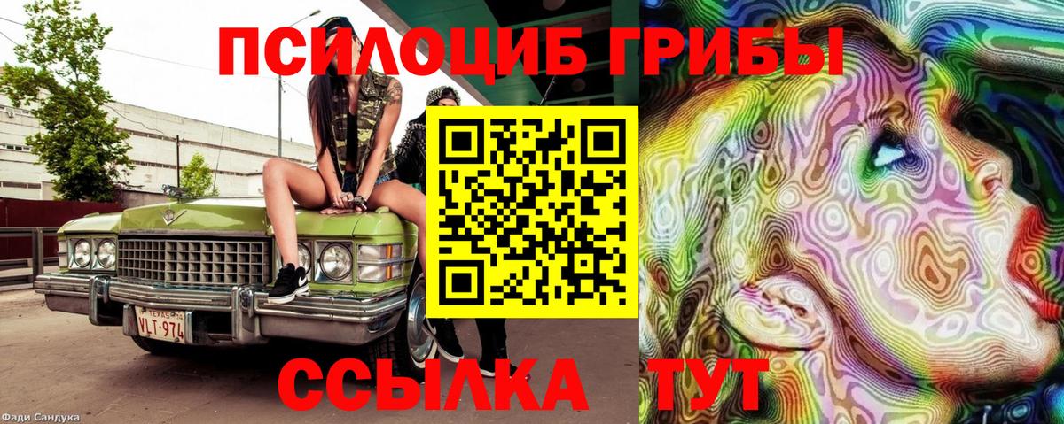 Галлюциногенные грибы MAGIC MUSHROOMS Владивосток