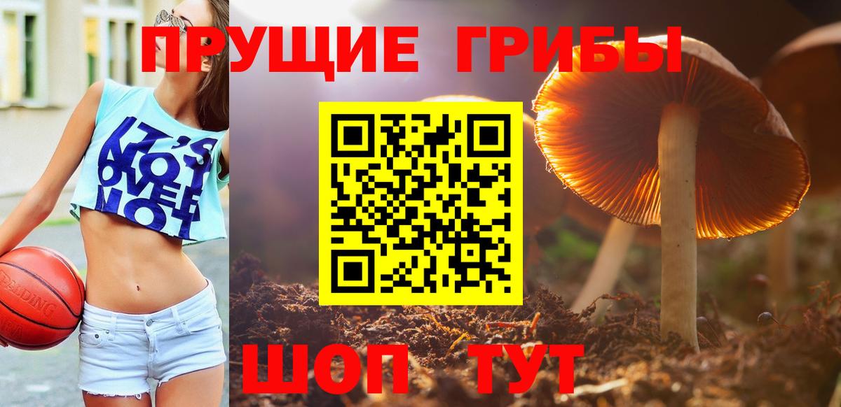 Владивосток  Галлюциногенные грибы мухоморы  Вход с VPN 