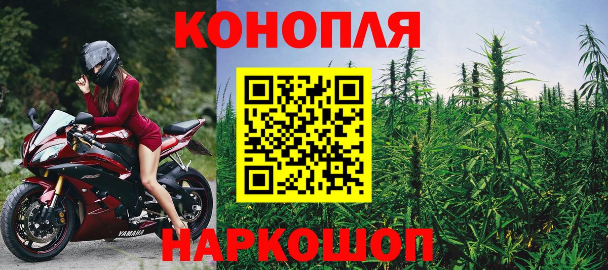 Каннабис сатива Владивосток